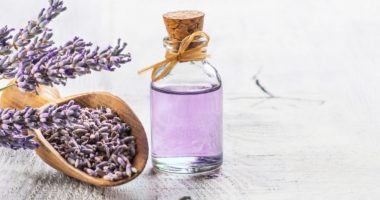 Një mrekulli nga natyra. A e dini çfarë vetish shëruese ka livando?