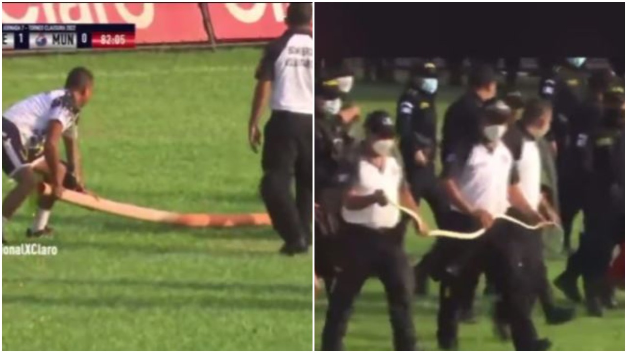 VIDEO/ Ndodh në Guatamala, një mysafir i padëshiruar detyron lojtarët të ikin me vrap