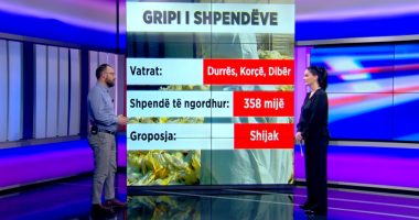 Gripi i pulave, ish-drejtori i AKU-së: Epidemia më e rëndë ndër vite, 1.5 milionë shpendë të ngordhur