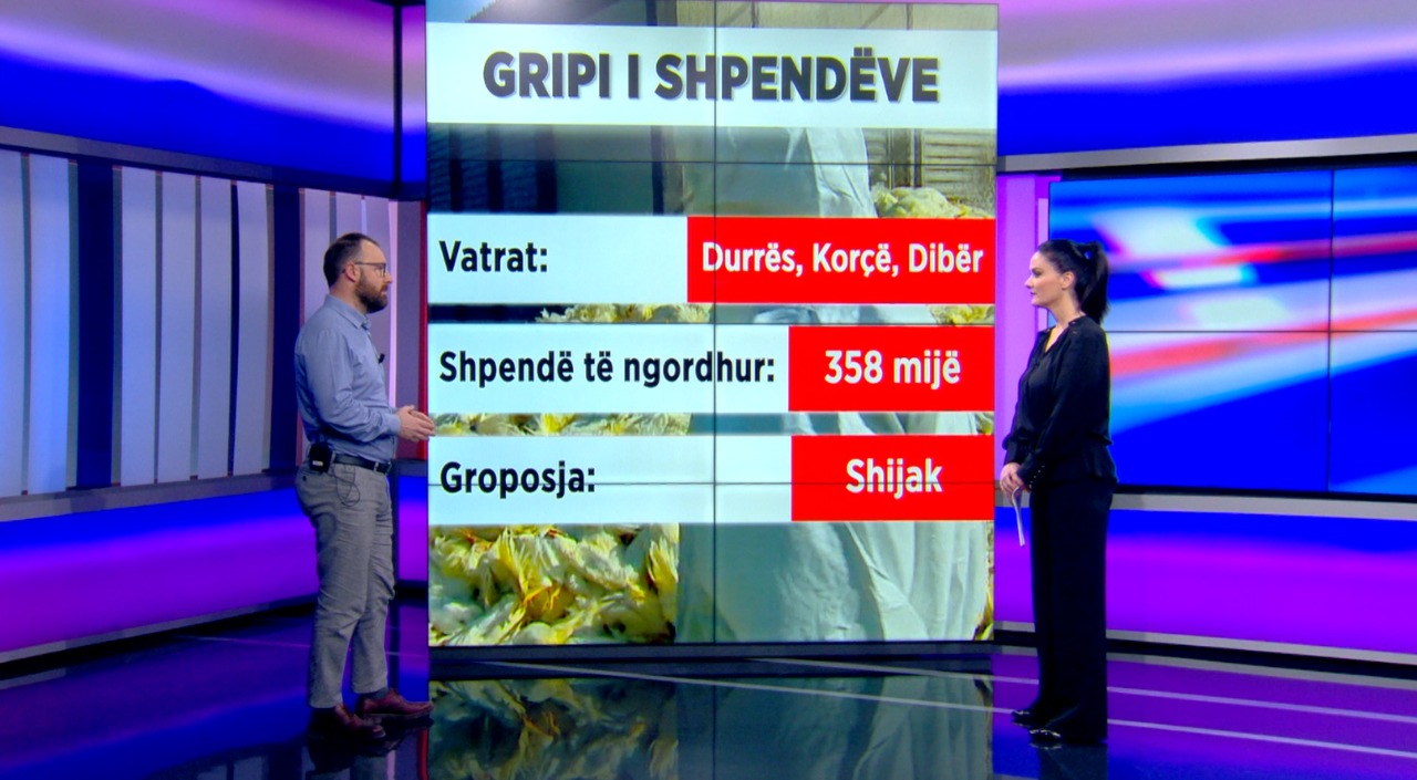 Gripi i pulave, ish-drejtori i AKU-së: Epidemia më e rëndë ndër vite, 1.5 milionë shpendë të ngordhur