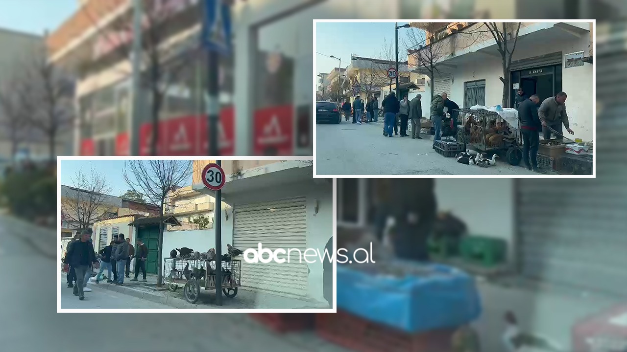 VIDEO/ Gripi po bën kërdinë, shitësit ambulantë në Kavajë “pushtojnë” trotuaret me pula