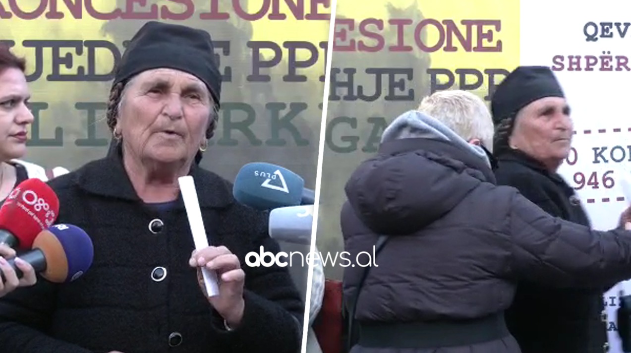 VIDEO/ Incident para kryeministrisë, nënë Lizën e përzënë nga protesta