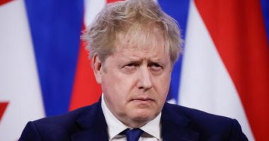 Johnson garanton mbështetje për Zeleskyn, por refuzon sërish bllokimin  e qiellit në Ukrainë