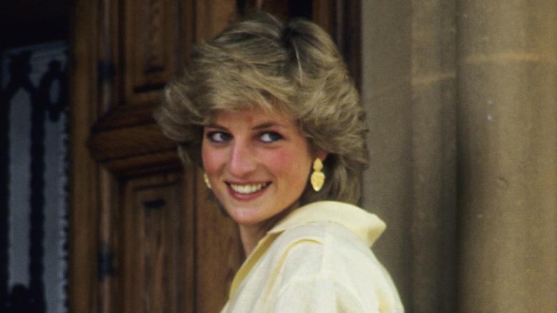 “Princesha Diana kishte flokë të tmerrshëm, si plastikë”, deklarata e fotografit bëhet virale