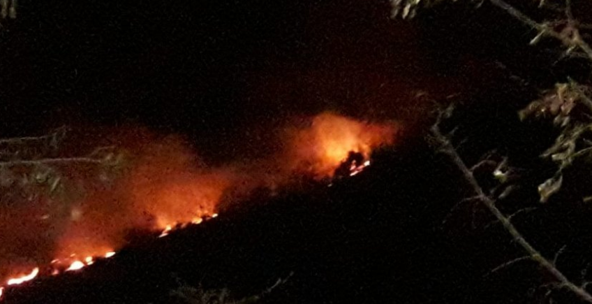Zjarr i madh në Kuçovë, në rrezik disa banesa