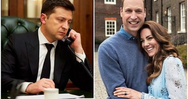 Pse Zelenskyy falënderoi për mbështetjen e tij Princin William, por jo vëllain e tij, Harry