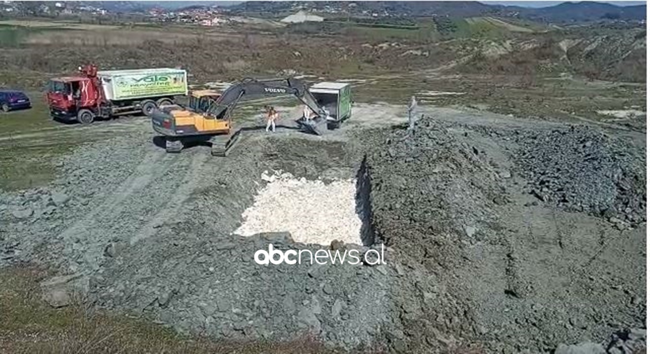 Gripi i Shpendëve, ministria e Bujqësisë: 120 mijë pula po asgjësohen ...