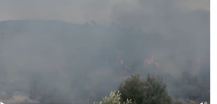 Sërish zjarr  në Panaja të Vlorës, po digjen pemët e ullinjve