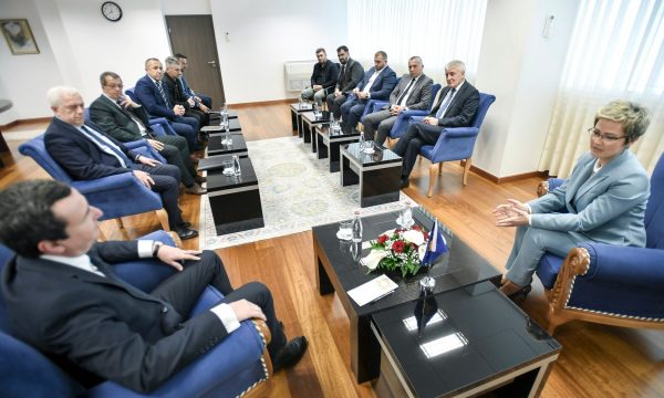 “Shkarkimi i Ardita Sinanit”, Kurti kundër Shqipërim Arifit