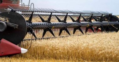 Lufta në Ukrainë, presidenti i BB: Bota do të përballet me një krizë ushqimore