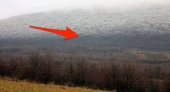 Nëse shihni diçka të tillë, largohuni menjëherë