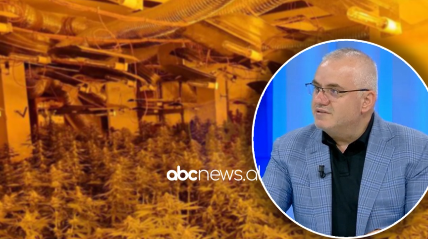 Artan Hoxha reveals the number of building indoor cannabis cultivation facilities in Albania