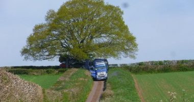 A mund të jetë ky “Ever Given” i Anglisë?