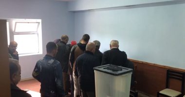 Zgjidhen kryetarët e rinj të degës së PD-së në Belsh dhe Maliq