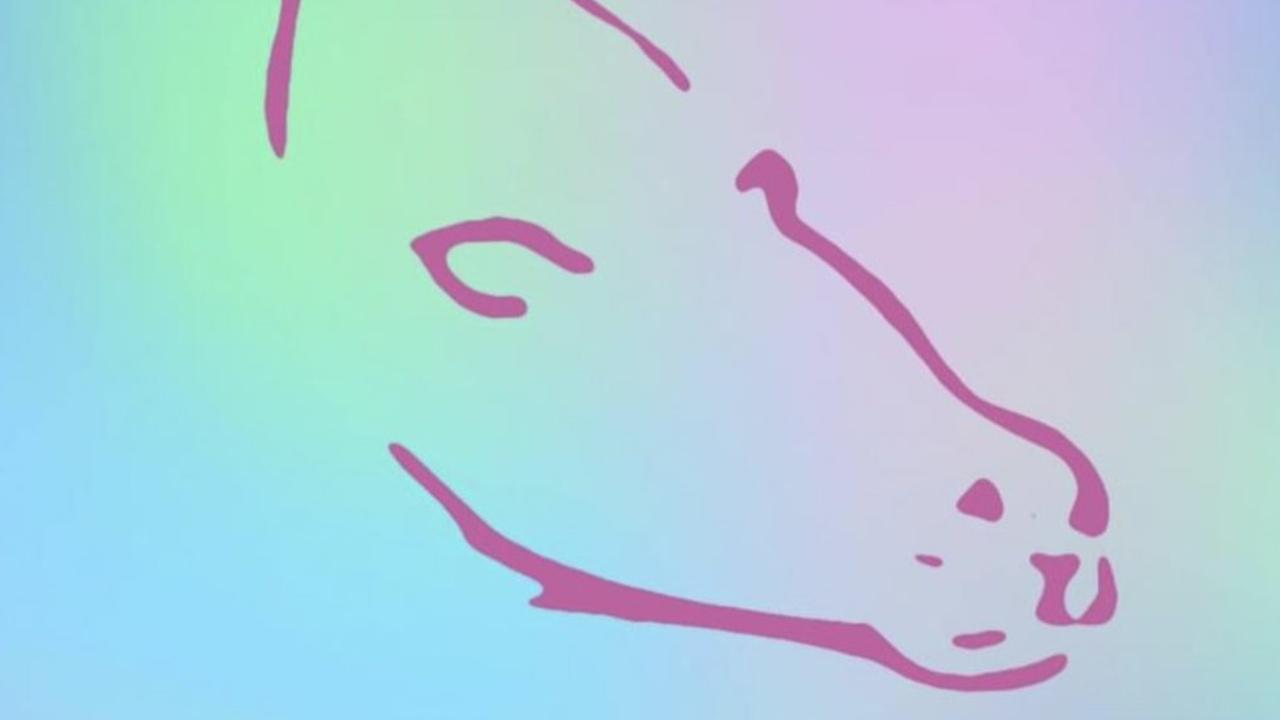 Peshk apo gomar? Ky imazh ka bërë “lëmsh” internetin