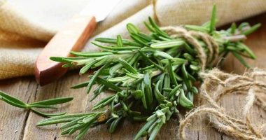 Rrisni flokët me këtë bimë, ndryshimin do ta vini re në një kohë të shkurtër