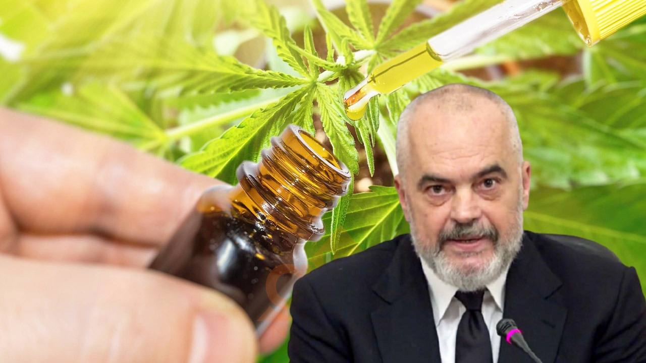 “Si të duan qytetarët”, Edi Rama: Do legalizojmë edhe kanabisin për përdorim vetjak