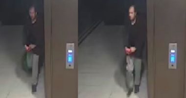 Ngjarja që tronditi Anglinë: Shqiptari e vrau Sabinën në rrugën ku ajo kishte frikë të kalonte