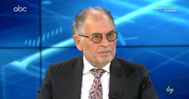 Kokëdhima: Ata që e kanë vonuar legalizimin e kanabisit duhet të kërkojnë falje