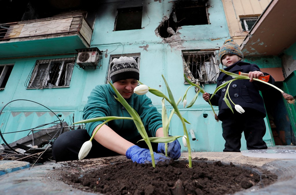 “Jetë mes rrënojave të luftës”, ukrainasit mbjellin tulipanë të bardhë në Mariupol