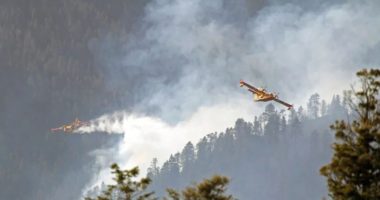 Zjarr i madh në Meksikë, shkrumbohen 166 shtëpi