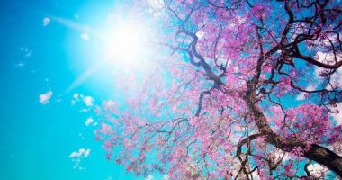 Temperatura deri në 20 gradë, parashikimi i motit për sot