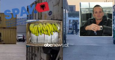 Kokaina në kontejnerët e “Alba Exotic”, lihet në burg pronari Eduart Dauti