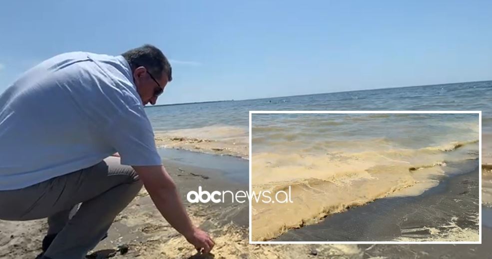 Bregdeti i Shëngjinit i “zverdhur”, shqetësohen turistët, të dhënat e para të ekspertëve mbi fenomenin