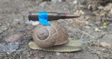 “Një kërmill me predhë”, Kievi ironizon Gjermaninë: Armët që na keni dërguar