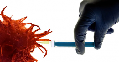 Shpresë për kurimin e kancerit, vaksina e testuar te minjtë dhe majmunët rezulton efektive