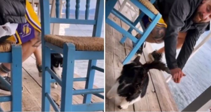 VIDEO/ Godet macen me shkelm dhe e hedh në det, shqiptari rrezikon 10 vite burg në Greqi