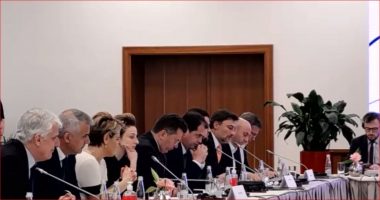 “Garancia për diasporën e brishtë”, Alibeaj: Vota vidhet, patronazhistët gjithmonë në sulm