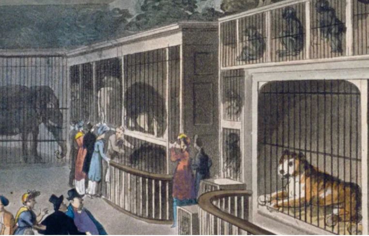 Kur u krijua kopshti i parë zoologjik në botë