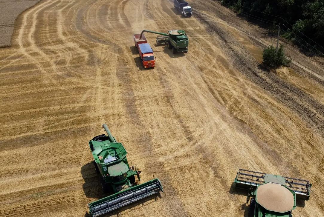 Bota në krizë ushqimore, Zelensky: 22 milionë ton grurë në pritje ndërkohë që Rusia bllokon portet
