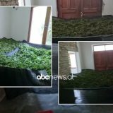Kishte kthyer shtëpinë  në laborator droge, policia “kap mat” burrin nga Kurbini, i gjen ne banesë 57 kg  dhe 100 bimë kanabis