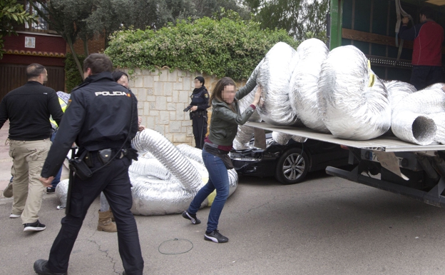 Mbi 4 mijë rrënjë, si i kthyen shqiptarët 8 vila në “shtëpi bari” në Spanjë, 9 persona në pranga