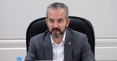 Vota e emigrantëve, Celibashi: Palët treguan pasiguri dhe mosbesim, synojmë të realizohet në vjeshtën tjetër