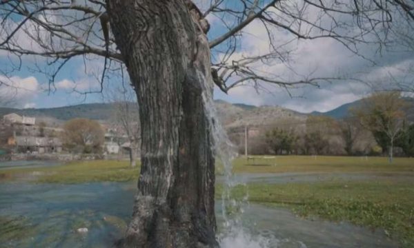 VIDEO/ Fshati shqiptar në Mal të Zi që u bë fenomen në mediat botërore