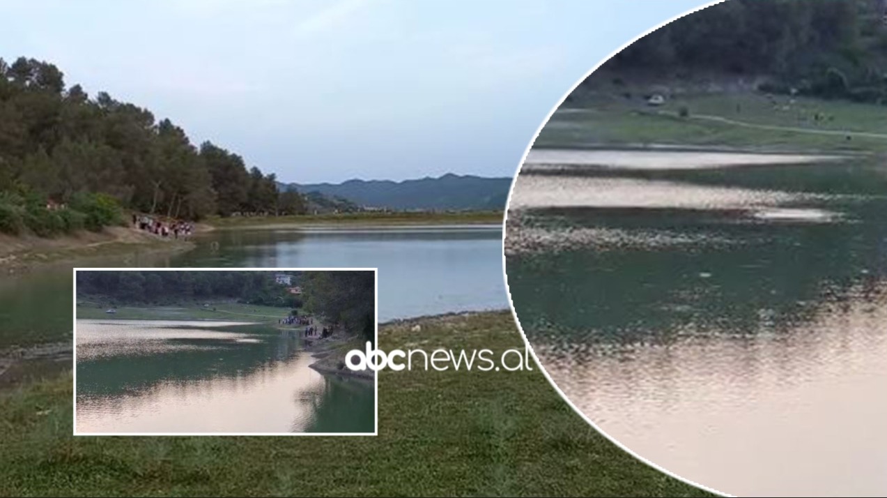 Tragjedia në Tiranë, dy djemtë e mbytur në liqen ishin vëllezër