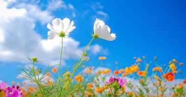 Temperatura deri në 32 gradë, njihuni me parashikimin e motit për sot