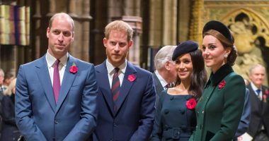 Meghan Markle nuk i përçau vëllezërit mbretëror, libri i ri shpjegon se si filloi debati mes princave