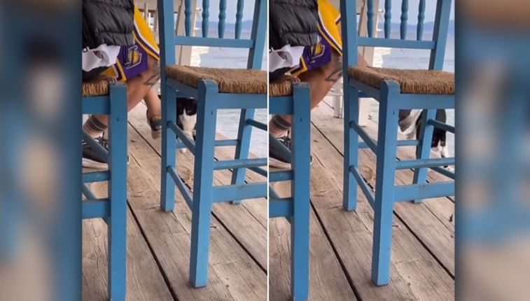 Video që revoltoi grekët, burri shkelmon macen, e hedh në det