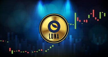 Kolapsi, pse LUNA ishte një skemë piramidale