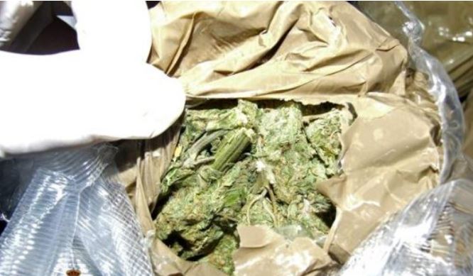 Humba drogën e bosave, tani më jepni azil: Spanjollët “hapin sytë” para kërkesës së shqiptarit