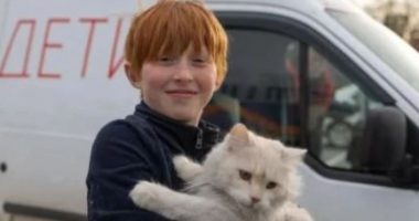 Ukrainasi i vogël që shpëtoi macen e tij nga bombardimet duke e mbuluar me trup