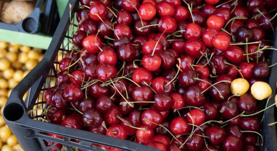 Si të zgjidhni qershitë më të mira? Ekspertja shpjegon se cilat duken bukur por janë të kalbura