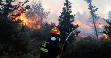 FOTO/ Periferia e Athinës përfshihet nga zjarri “i egër”, dëmtohen shtëpitë, evakuohen banorët