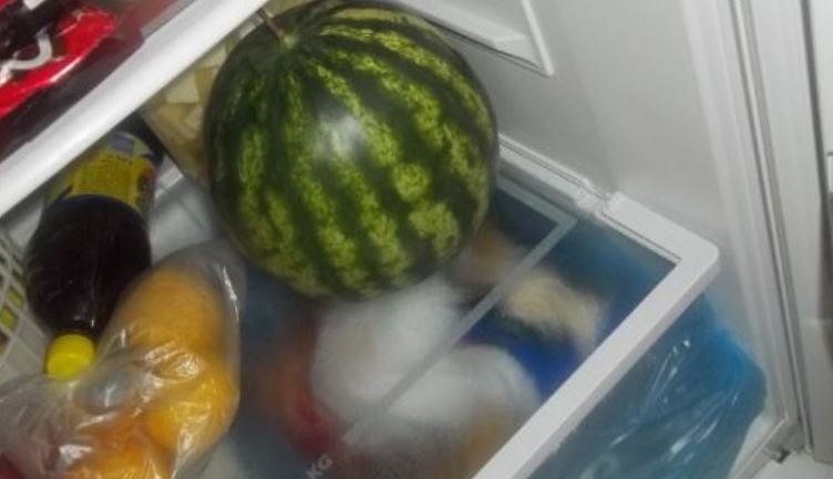Pse nuk duhet ta fusim shalqirin në frigorifer