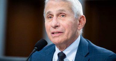 Pas më shumë se dy vitesh në pandemi, koronavirusi “kap” Anthony Fauci-n