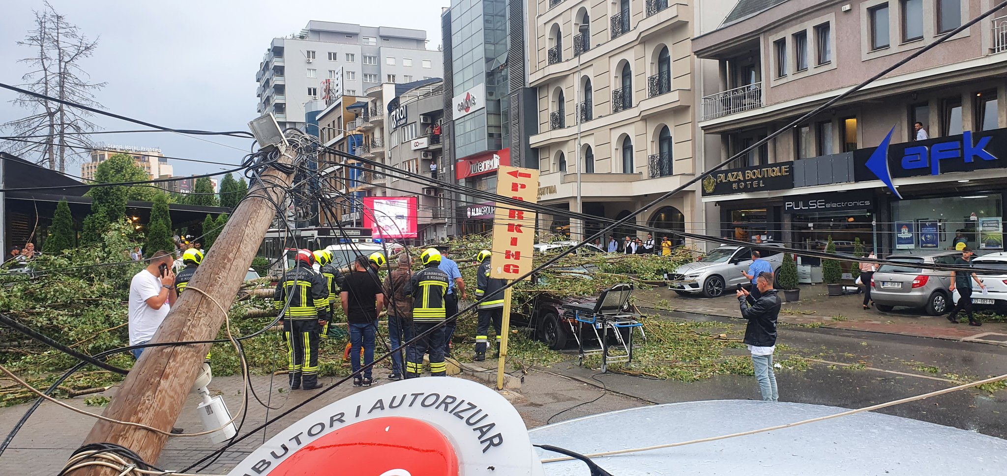 FOTO LAJM/ Era e fortë rrëzon pemën, një i vdekur në Prishtinë